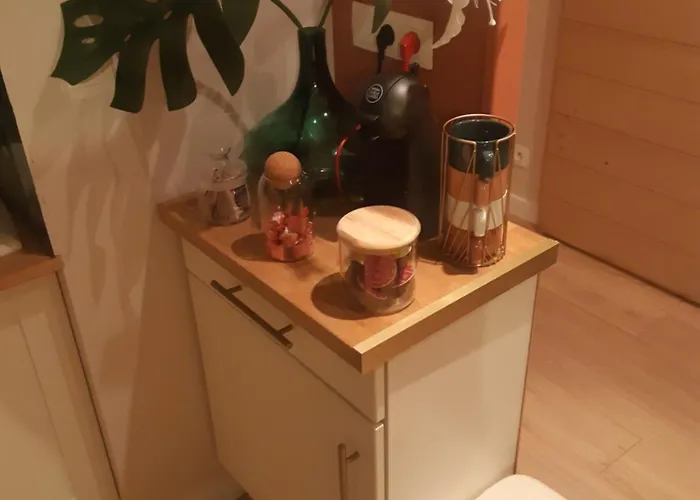 Beautiful Cocooning Apartment